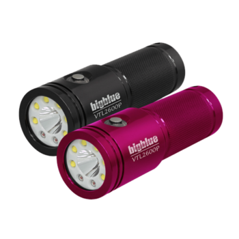 Dual Beam - Primary & Photo/Video
